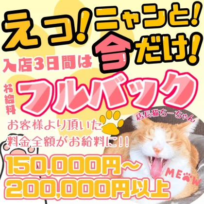 ショップイメージ